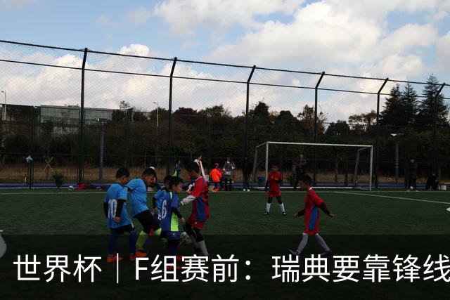 世界杯｜F组赛前：瑞典要靠锋线双星 突尼斯欲出线